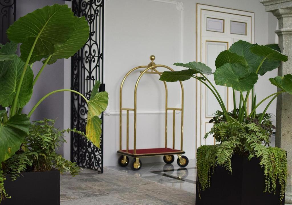 Casa Hidalgo Hotel Boutique Oaxaca Eksteriør billede